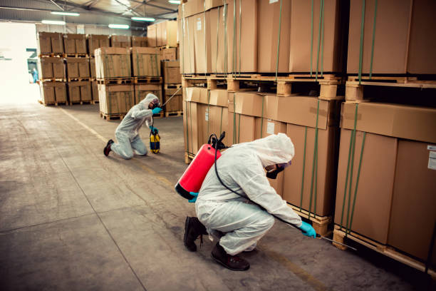 Best Best Pest Control Companies  in Altamonte Springs, FL