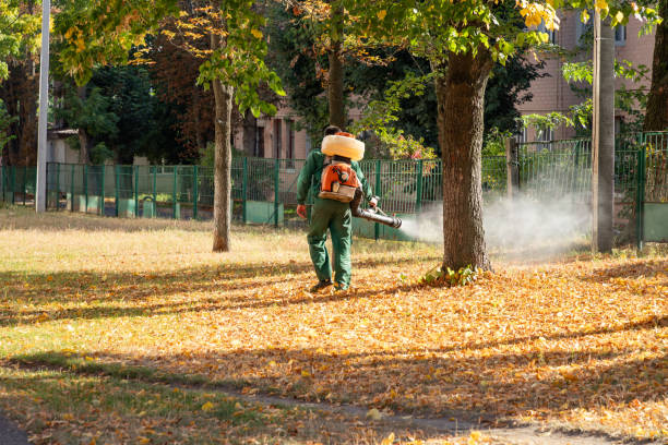 Best Termite Control Services  in Altamonte Springs, FL